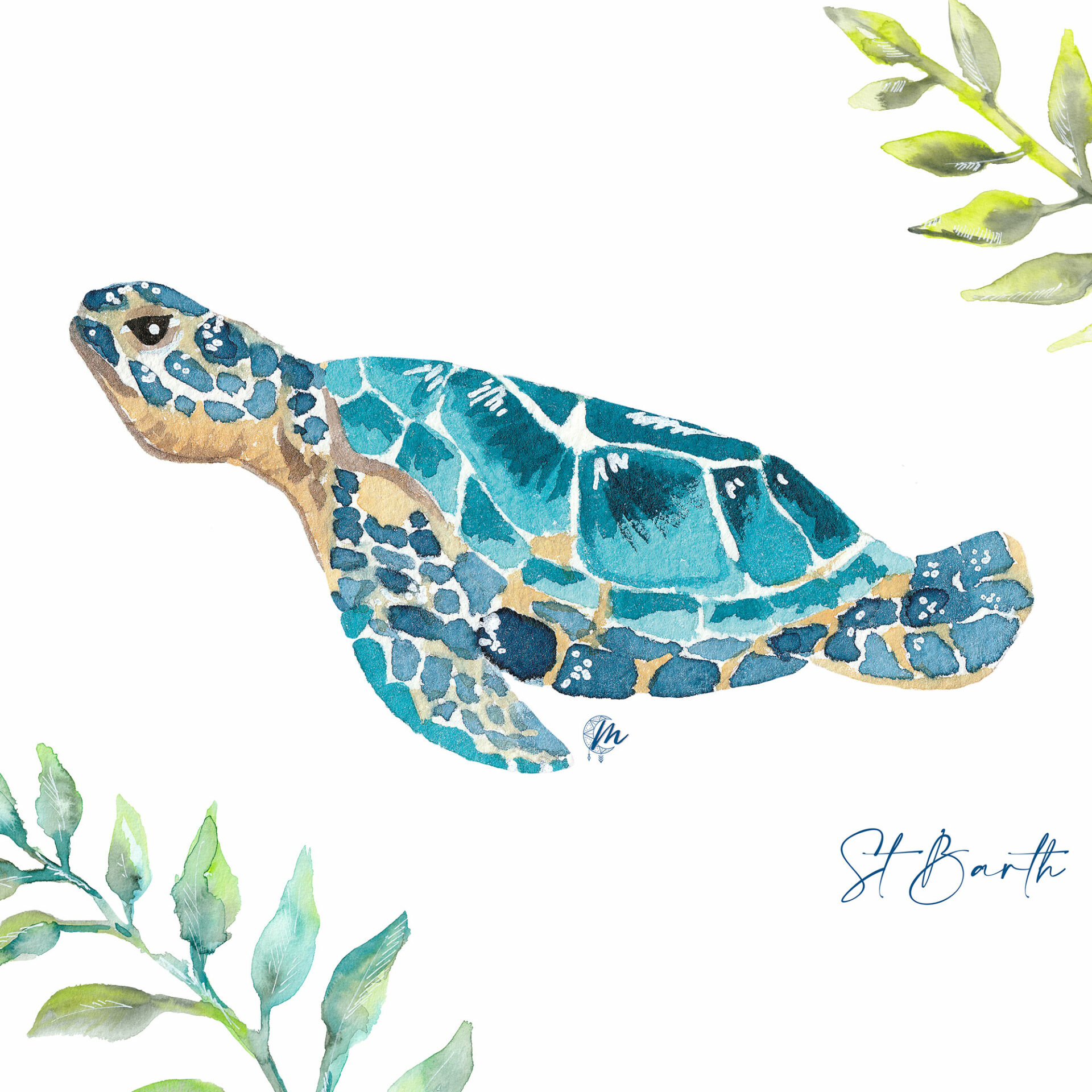 Illustration of Sea Turtle - MOON ST BARTH - Illustration