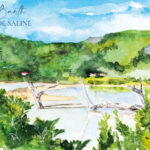 Illustration de Saint-Barthélemy : Grande Saline - Moon St Barth -